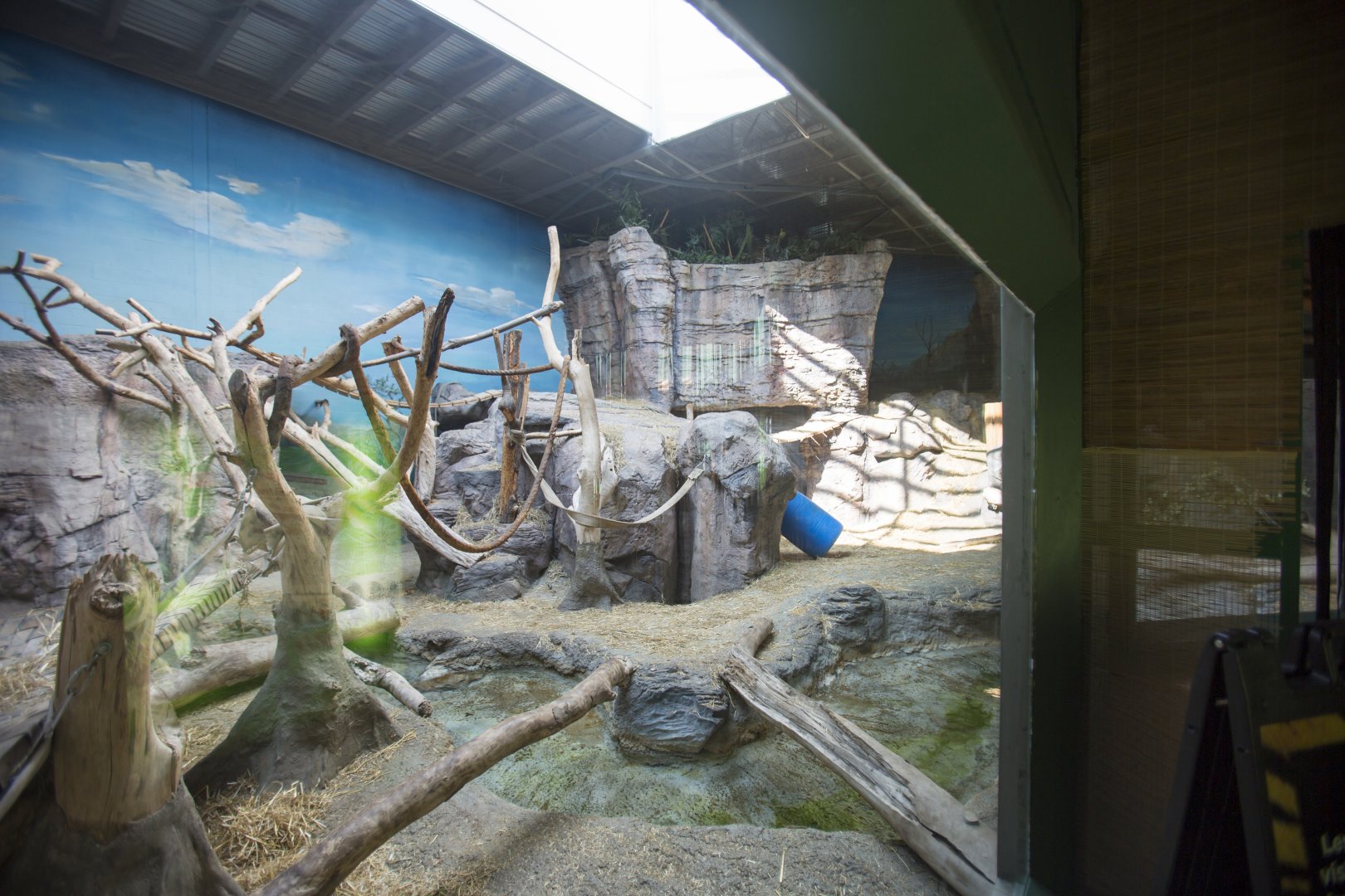 Indoor Gorilla Habitat