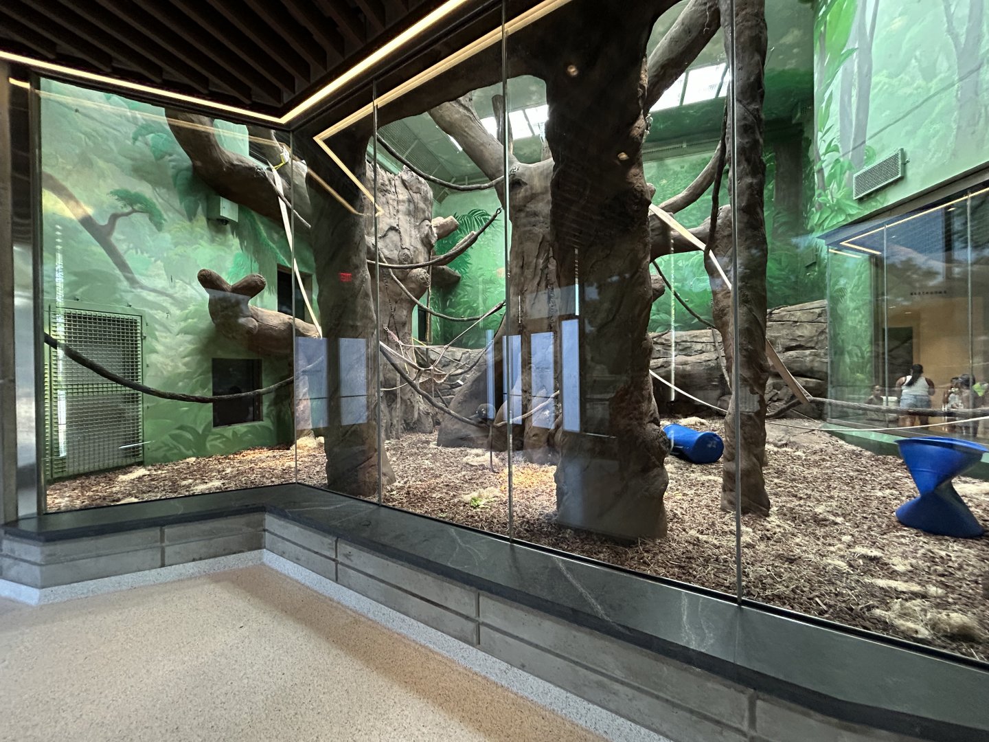 Indoor Gorilla/Monkey Exhibit - Tropical Forests