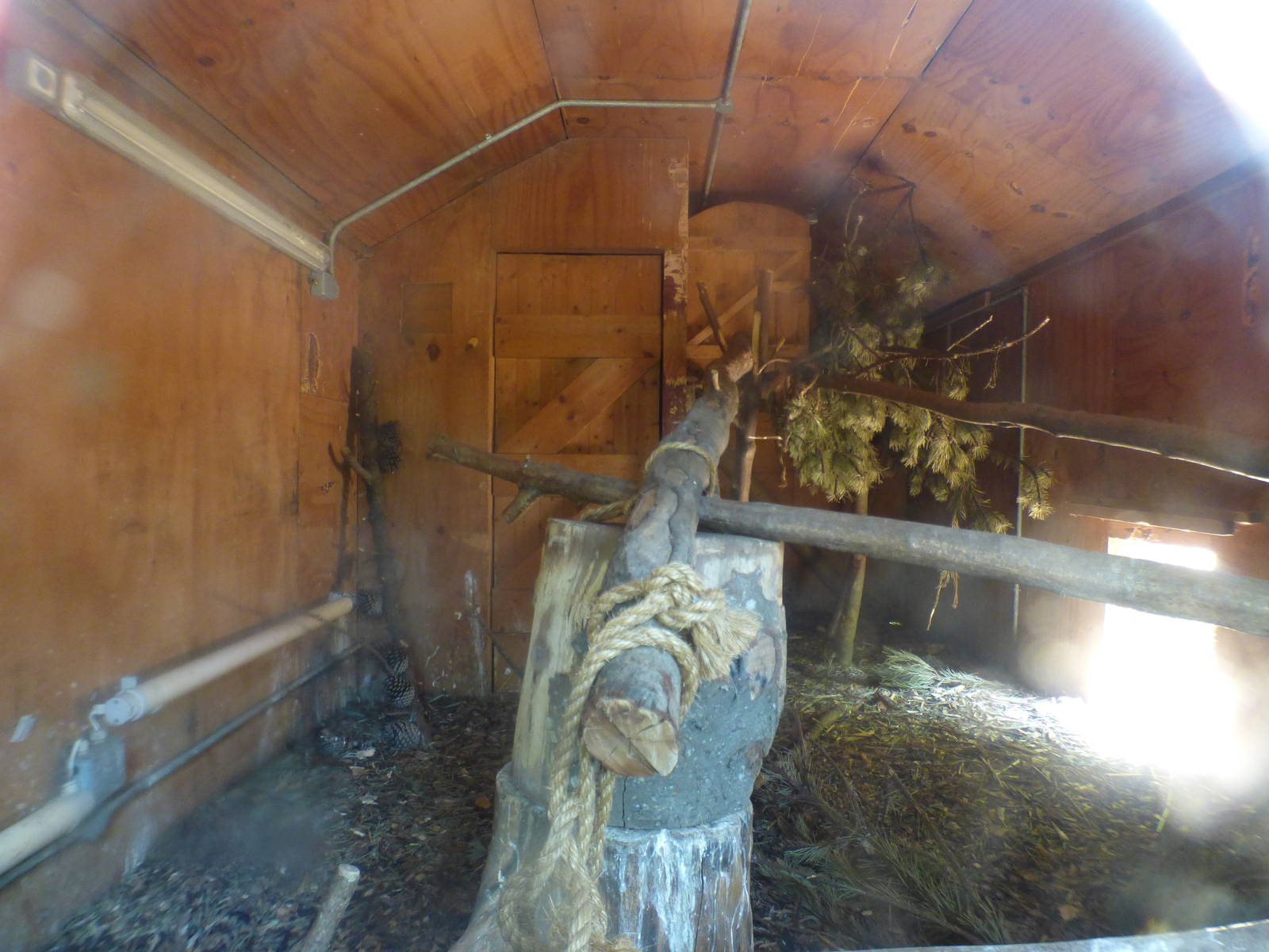 Indoor Ground Hornbill Enclosure