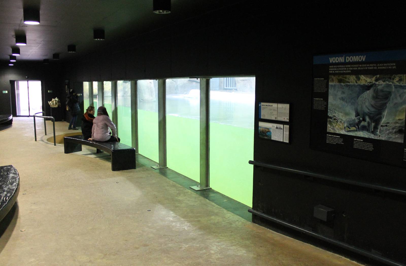 Indoor Hippo enclosure