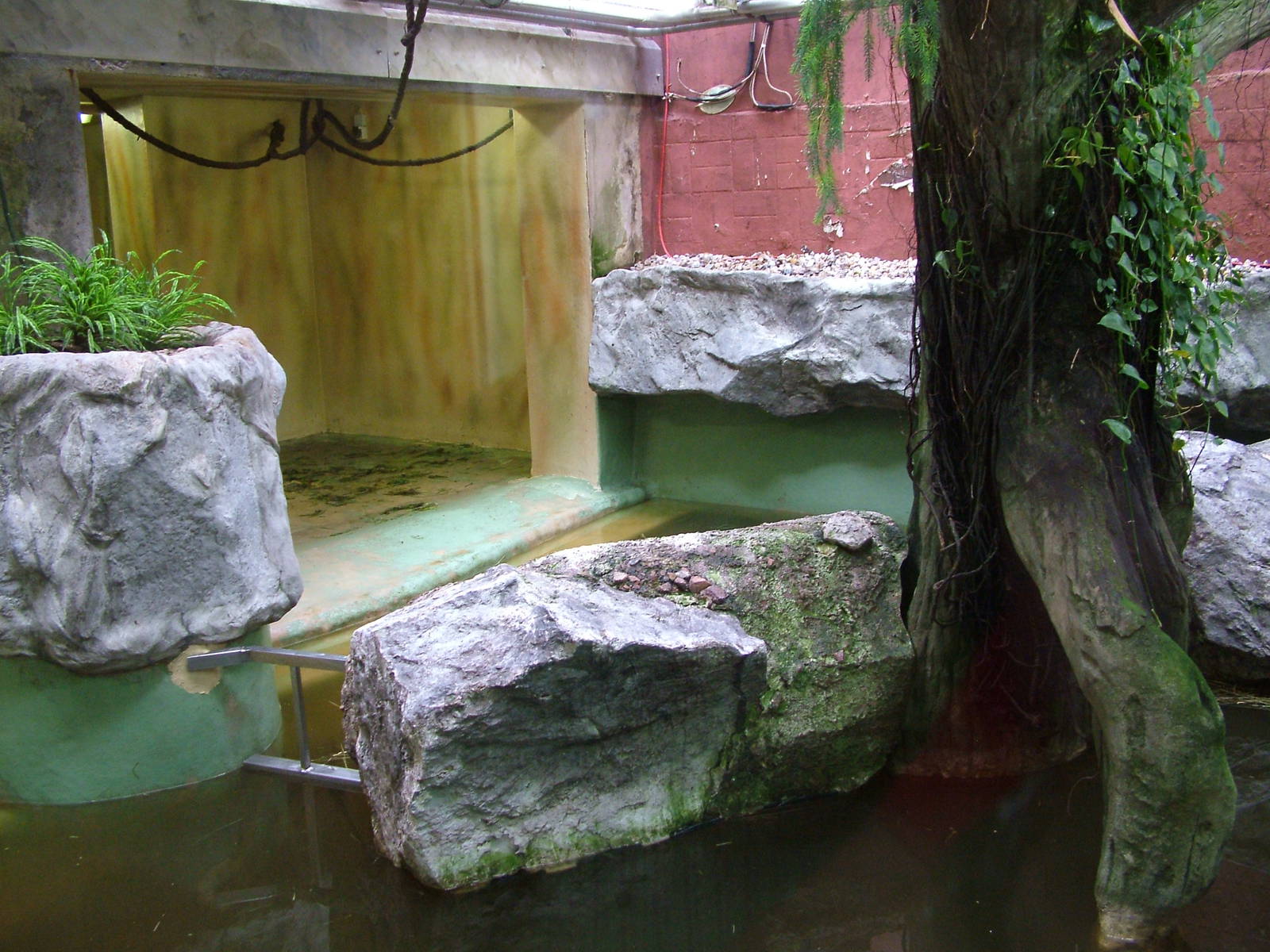 Indoor Hippo Exhibit at Halle 04/09/11