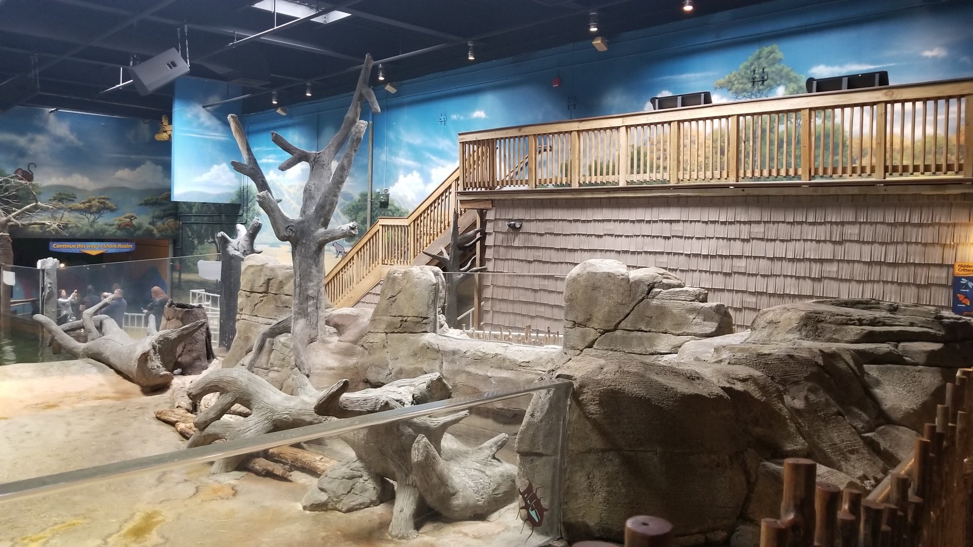 Indoor hippo exhibit, upper corner and human viewing area (closed)