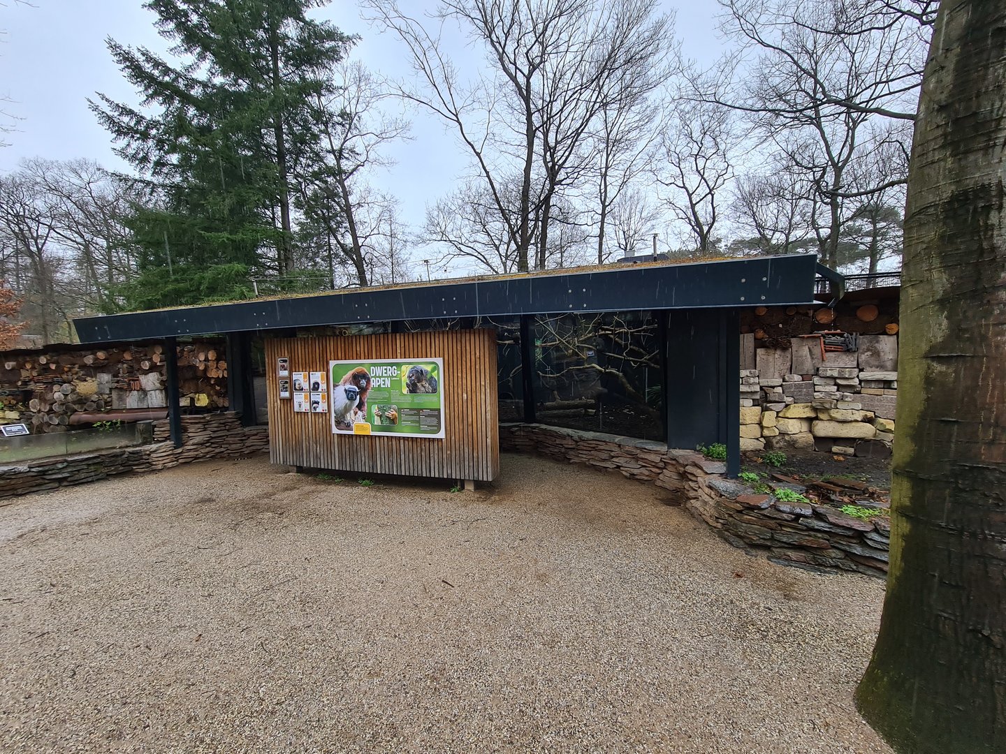 Indoor holding building for Callitrichids