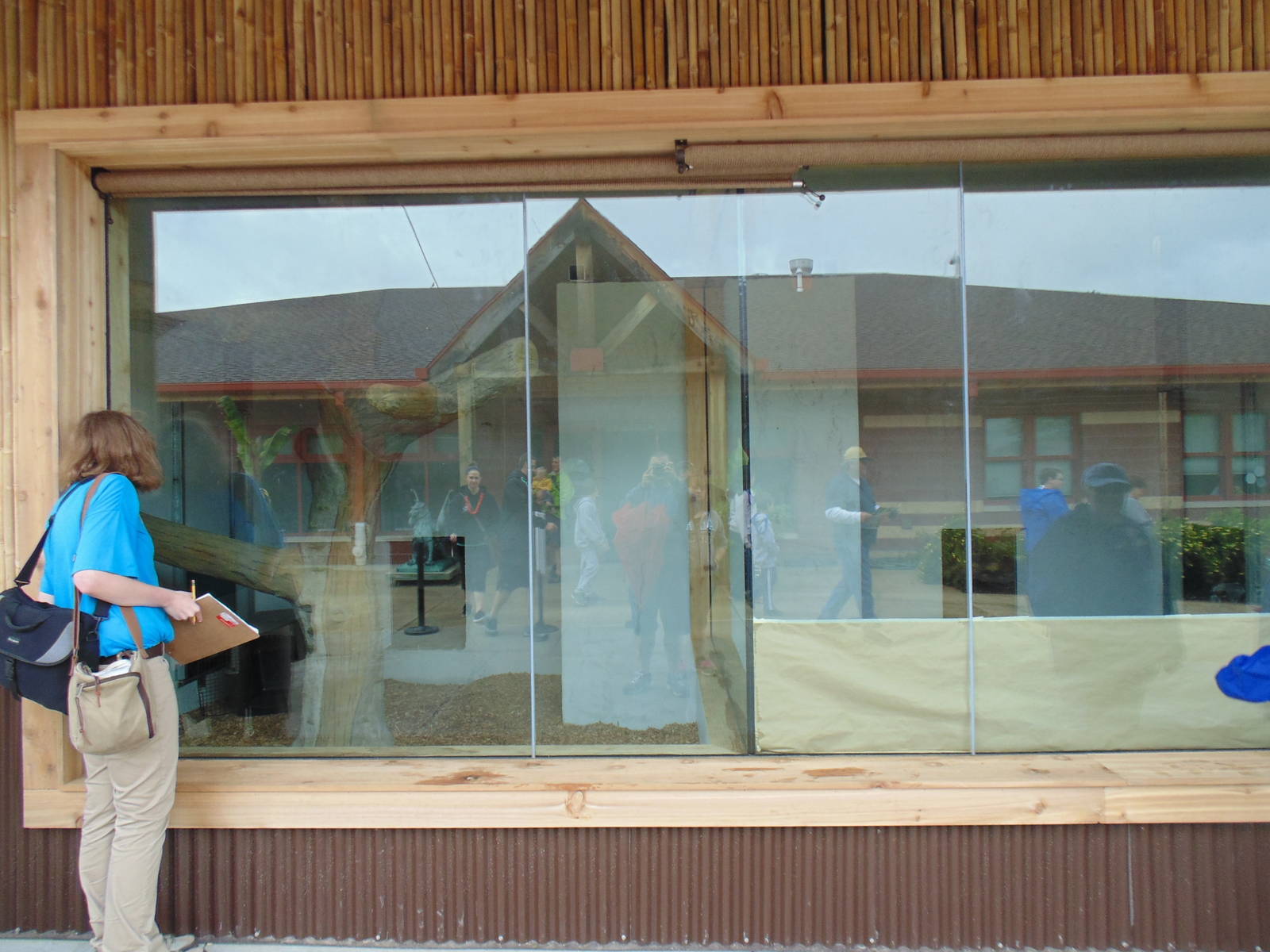 Indoor Holding Clouded Leopard(right) &amp; Visayan Wart Pig(Left)