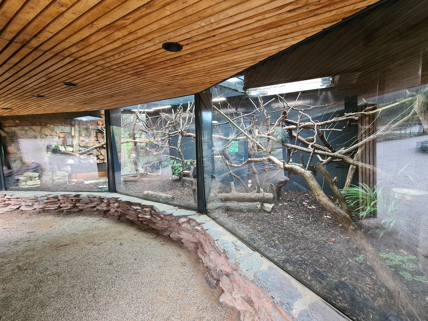 Indoor holding for Callitrichids