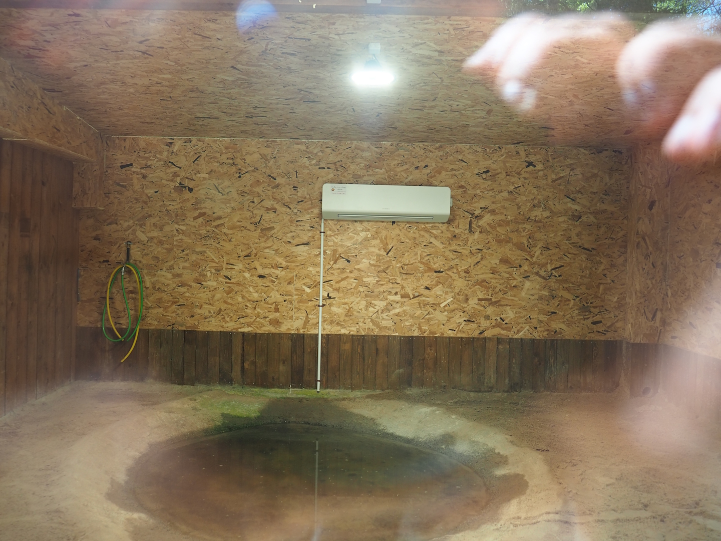 Indoor housing Aldabra giant tortoises, 2023-05-19