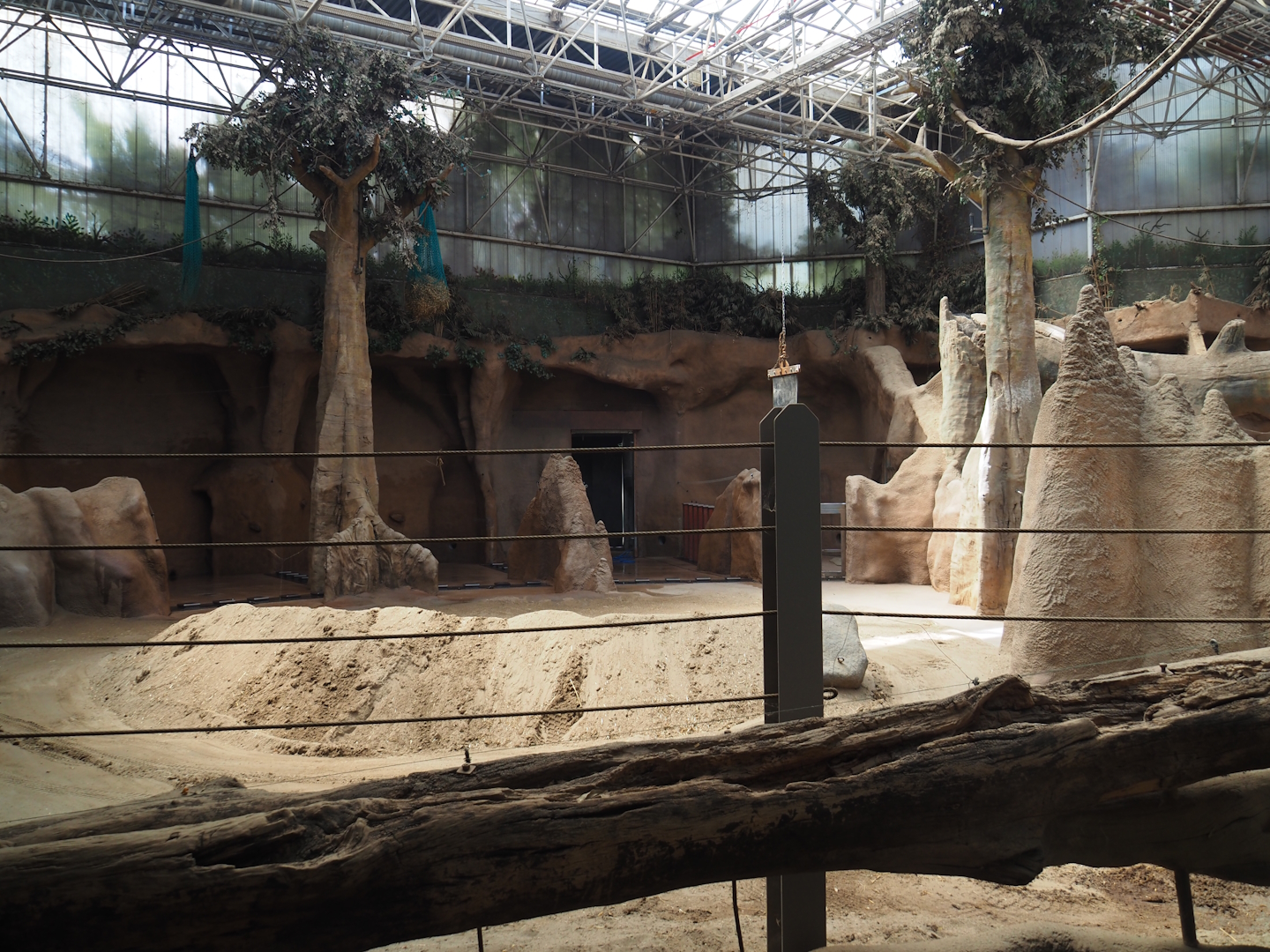 Indoor housing Asian elephants, 2024-06-30