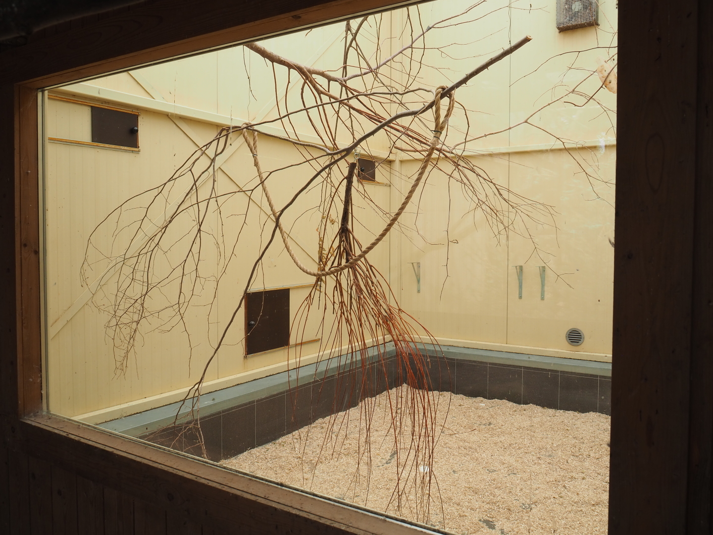 Indoor housing Australian birds, 2019-07-21