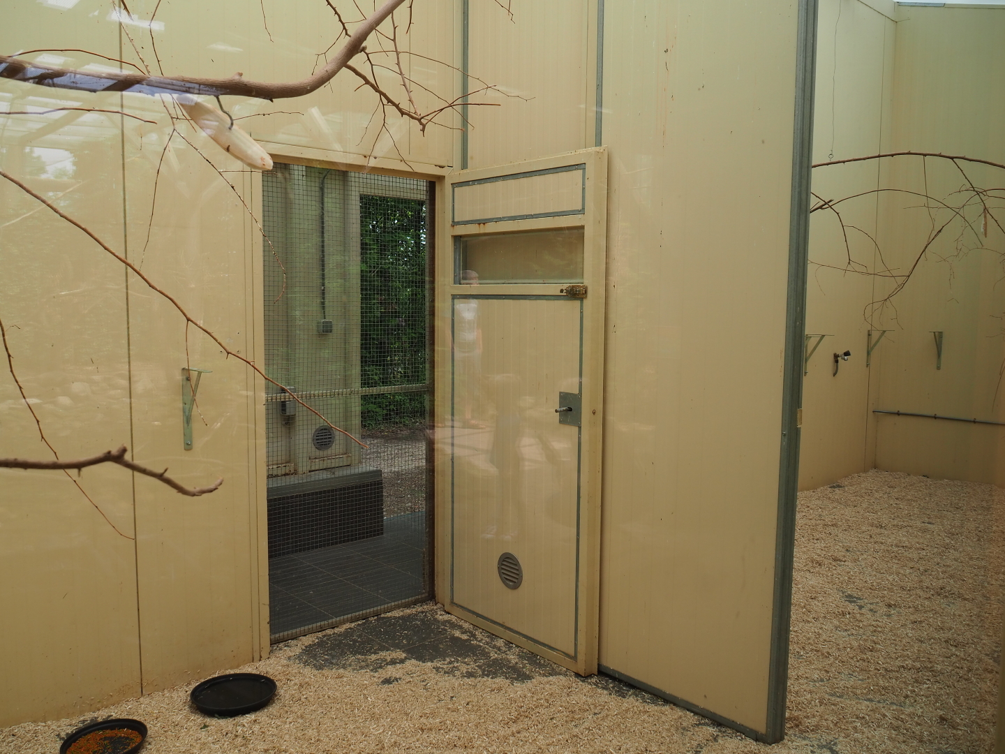 Indoor housing Australian birds, 2019-07-21