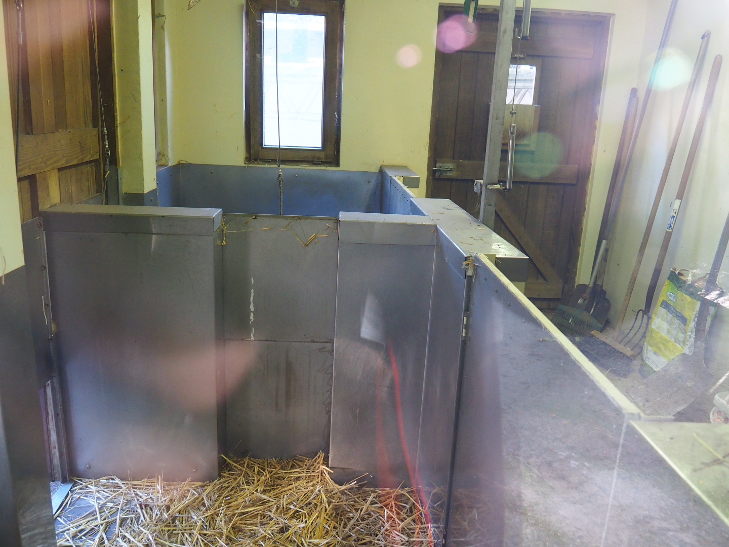 Indoor housing Cape porcupines, 2020-10-10