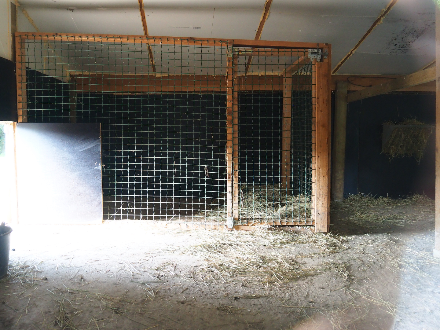 Indoor housing Emus and Red-necked wallabies, 2020-09-12