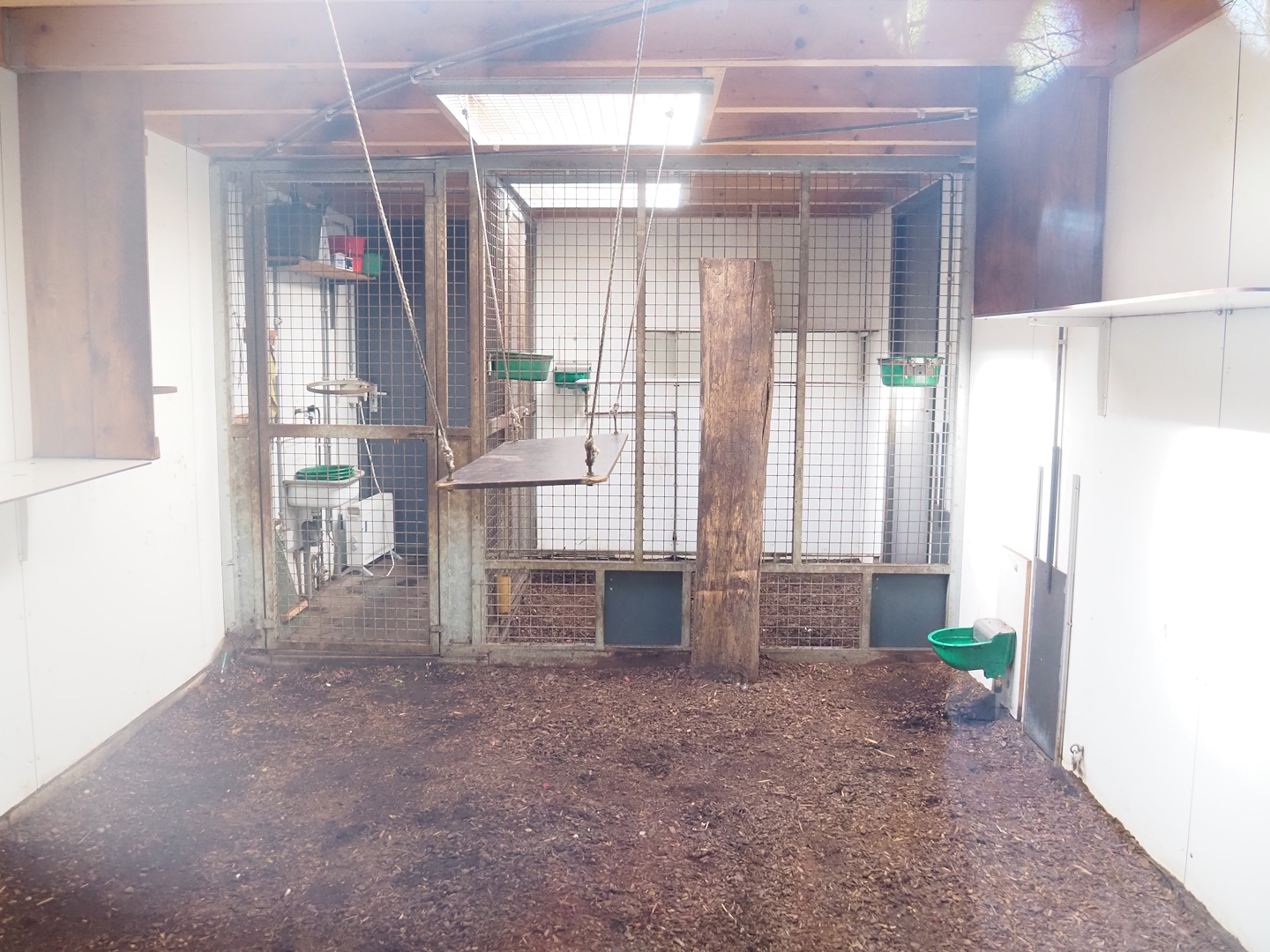 Indoor housing for ring-tailed lemurs and red ruffed lemurs, 2023-04-30