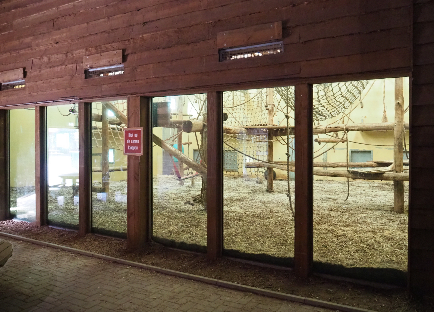 Indoor housing for the first Western chimpanzee group, 2019-09-15
