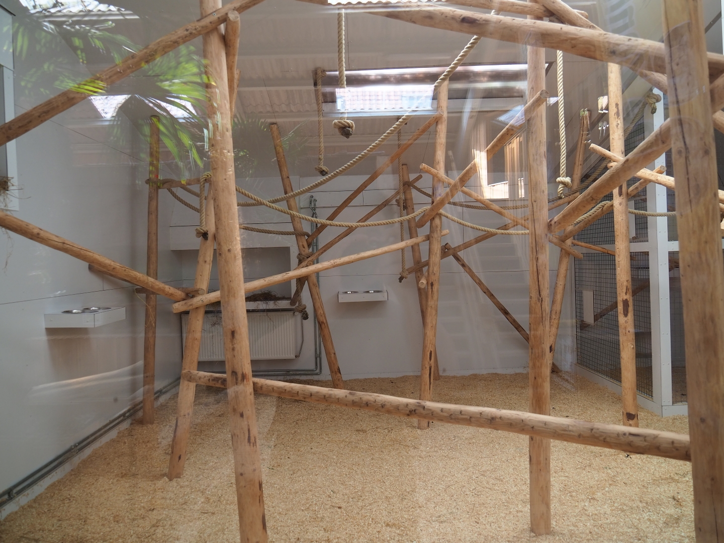 Indoor housing ring-tailed and brown lemurs