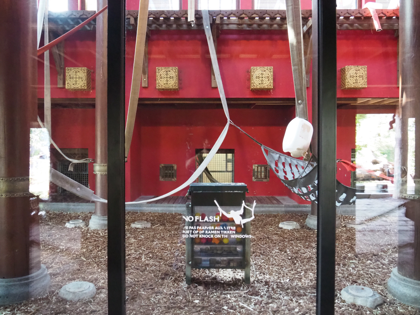 Indoor housing second Sumatran orangutan exhibit, 2020-09-02