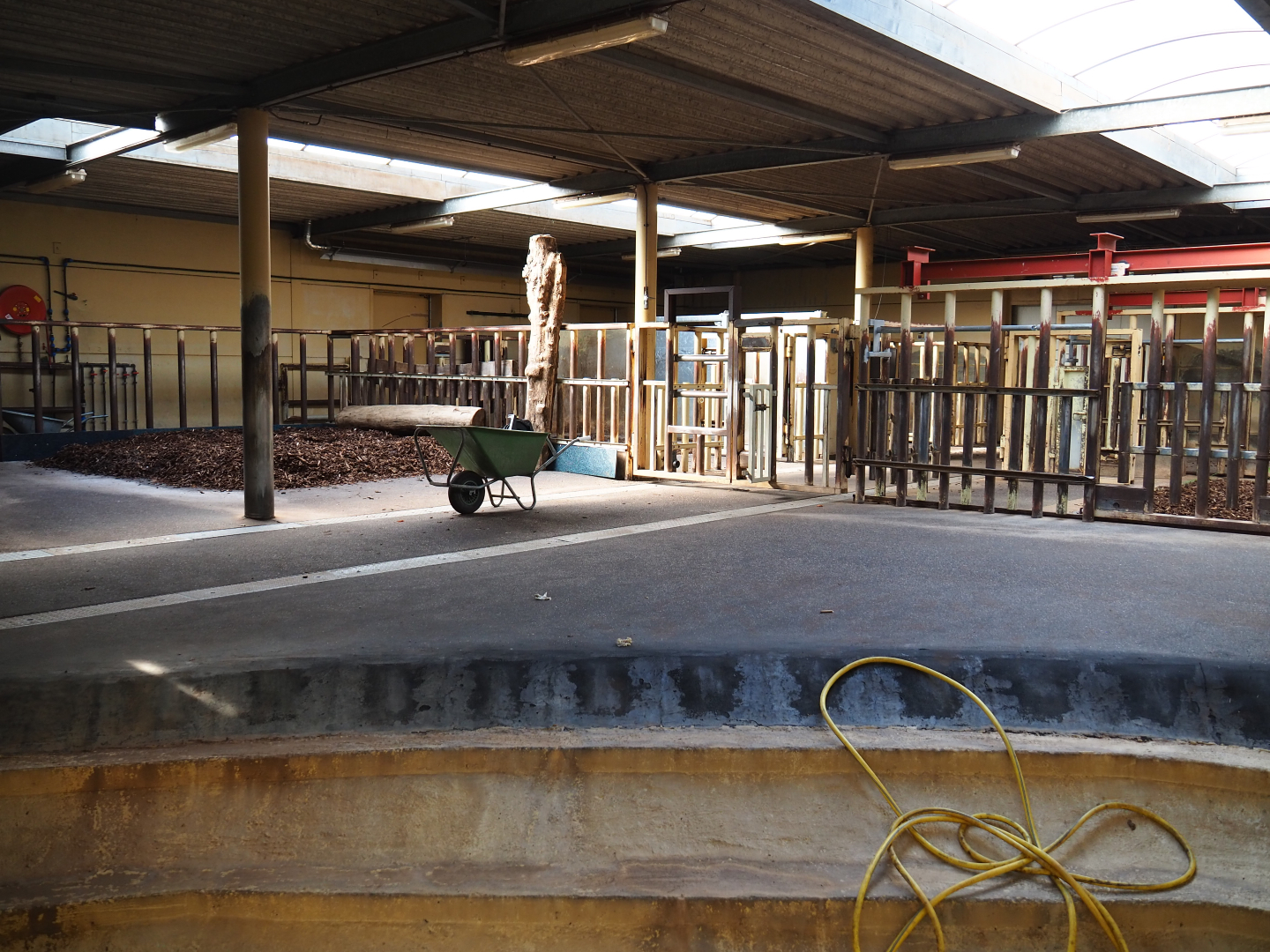 Indoor housing Southern white rhinoceroses, 2019-09-15