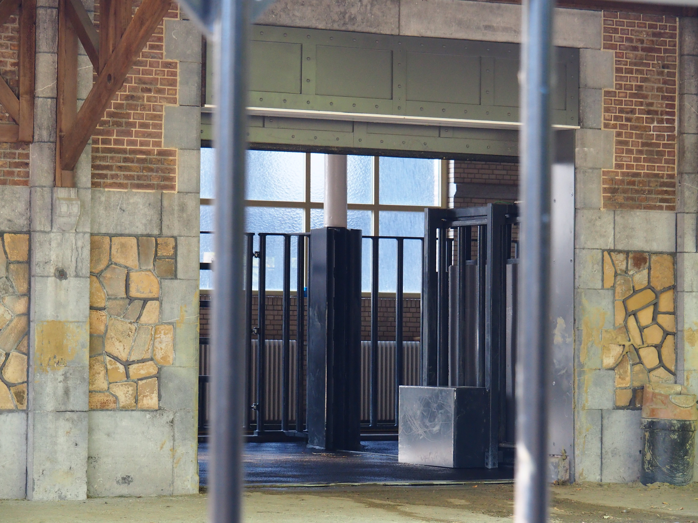 Indoor housing Southern white rhinoceroses in the old bovine house, 2020-09-20