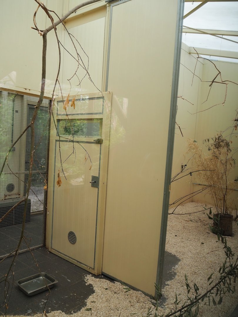 Indoor housing Sun conures, 2023-07-18