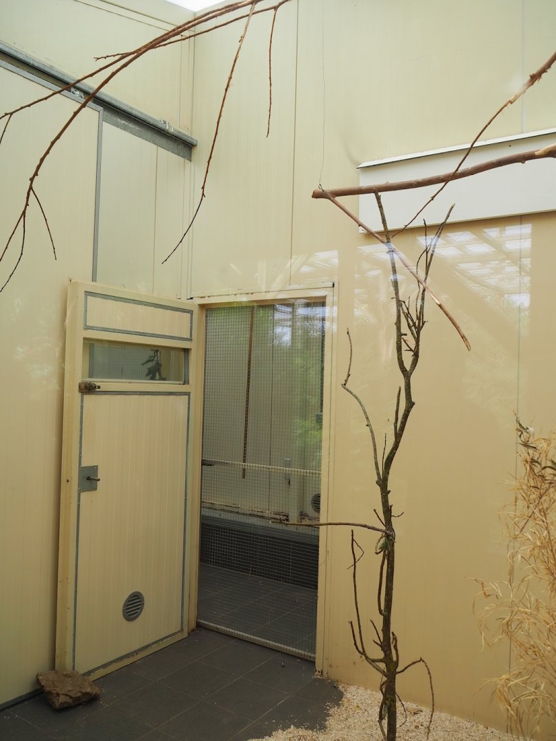 Indoor housing Sun conures, 2023-07-18