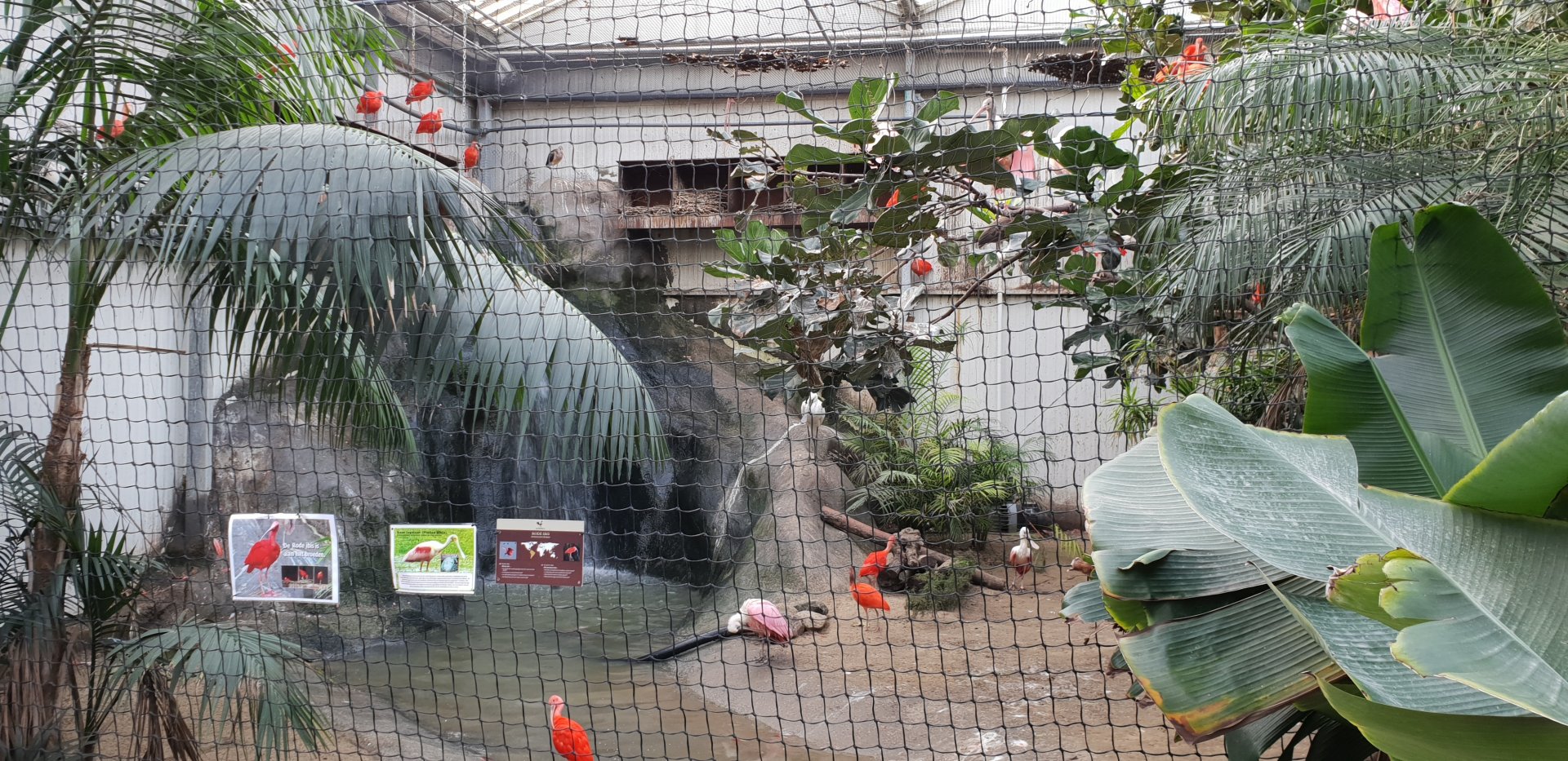 Indoor ibis and spoonbill-enclosure