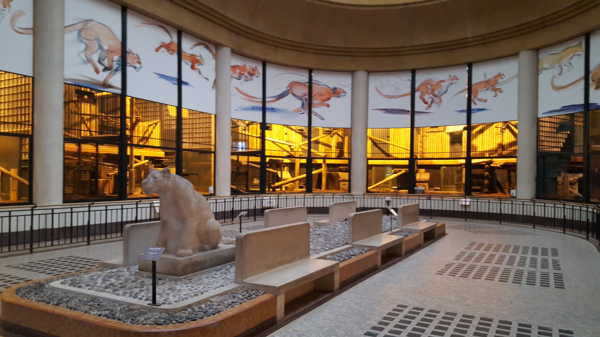 indoor interior cathouse