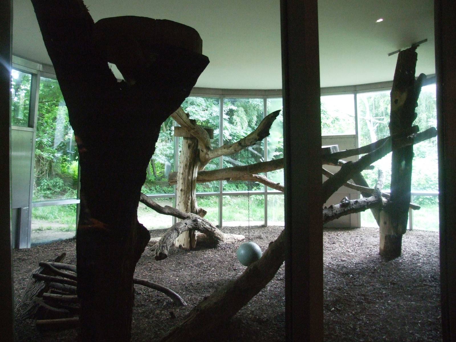 Indoor Jaguar Enclosure at Vienna, 14/06/13