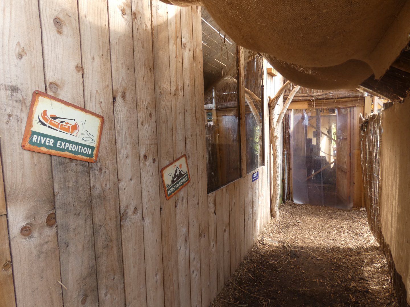 Indoor Jaguarundi viewing area