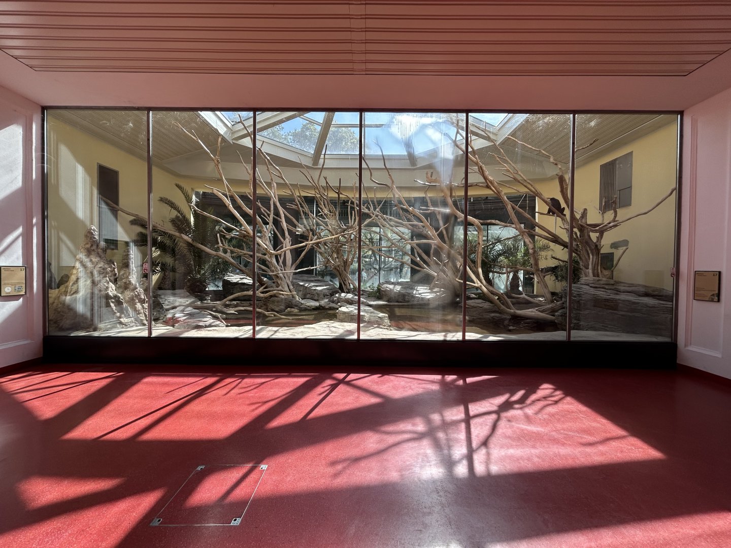 Indoor King Colobus & Meerkat Exhibit - Monkey House