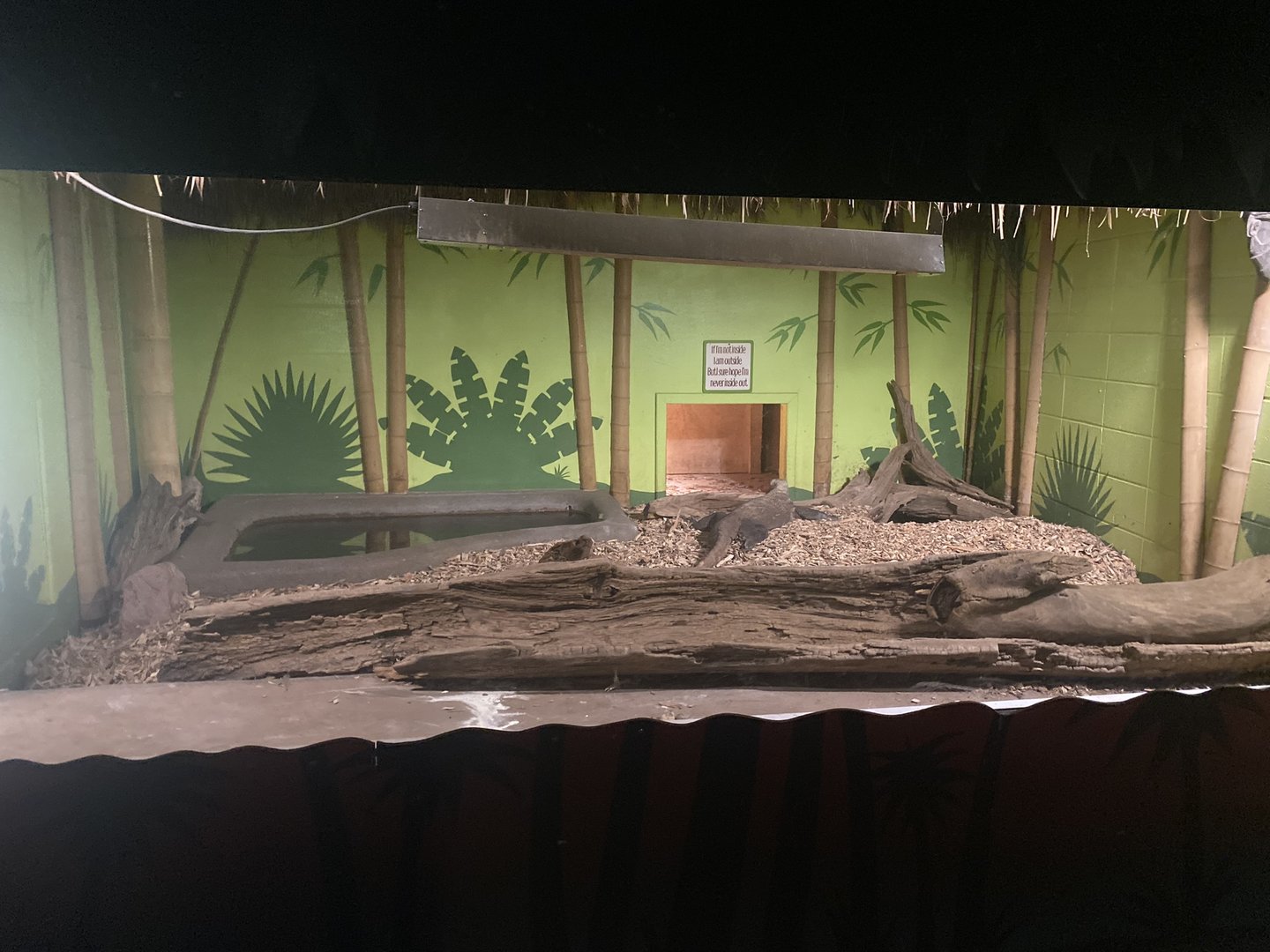 Indoor Komodo Dragon Exhibit