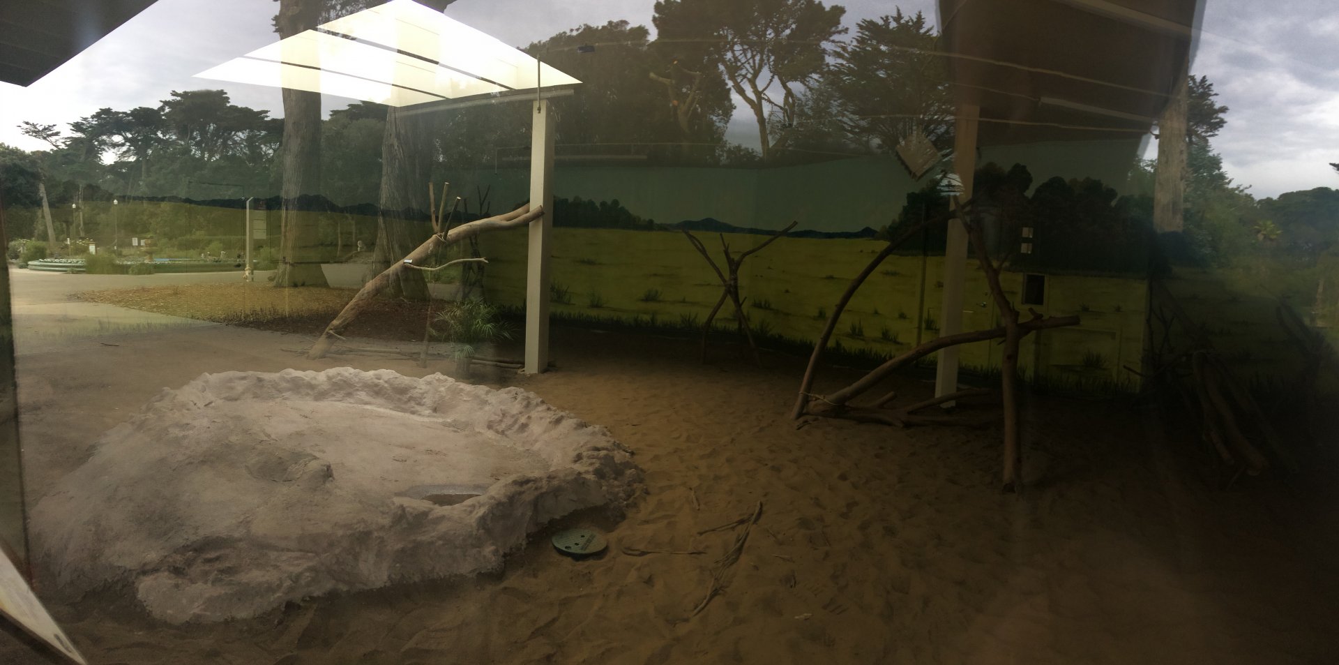 Indoor Komodo exhbit