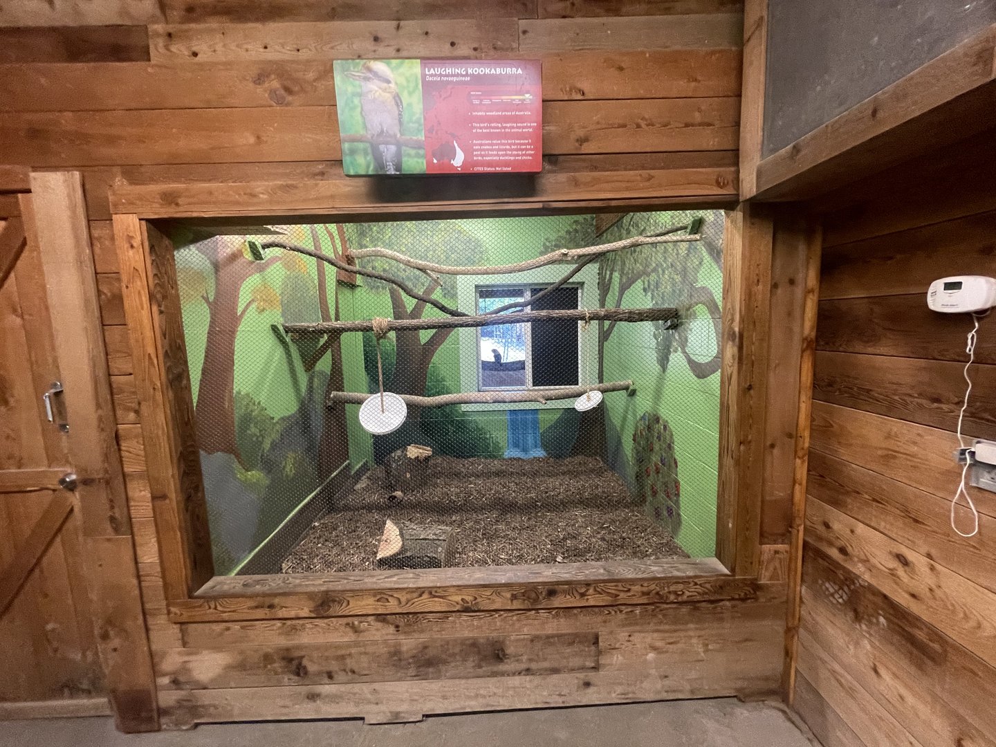Indoor Kookaburra Exhibit