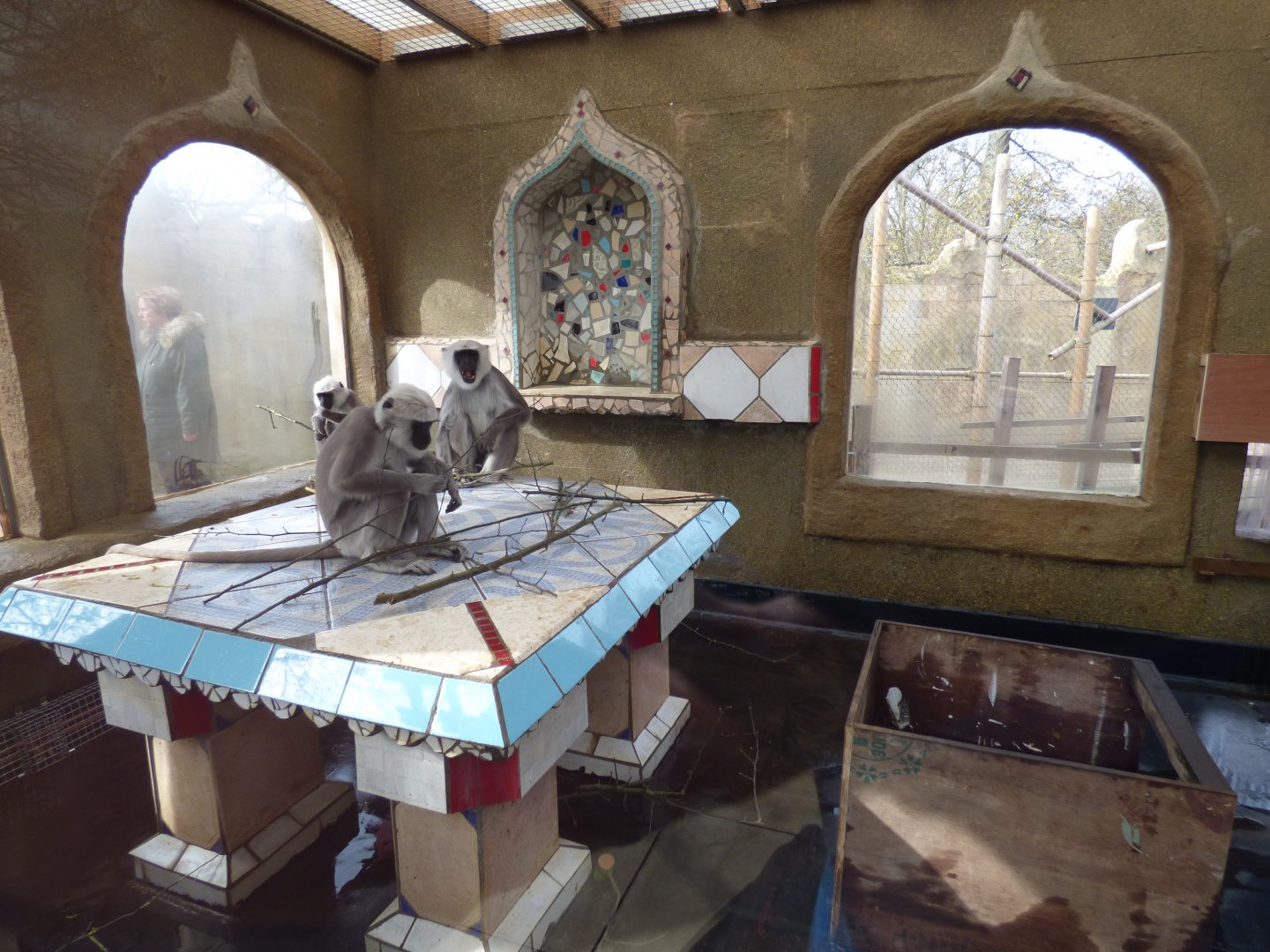 Indoor Langur Enclosure