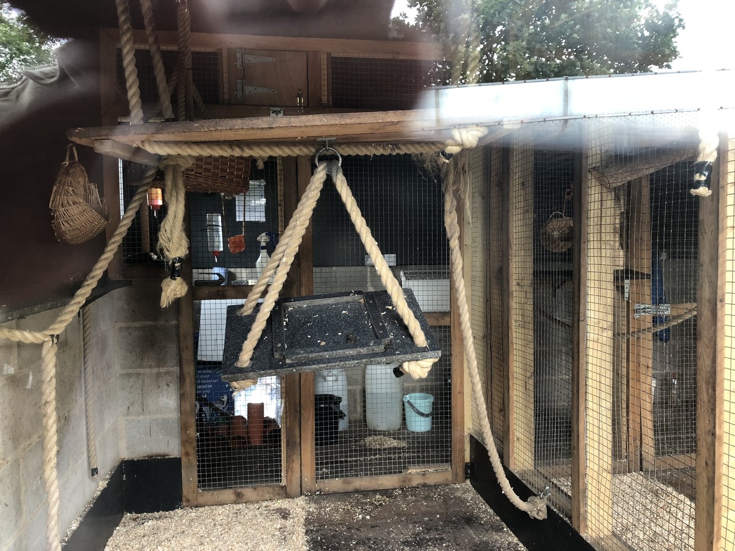 Indoor Lemur Enclosure at Peak Wildlife Park (August 2023)