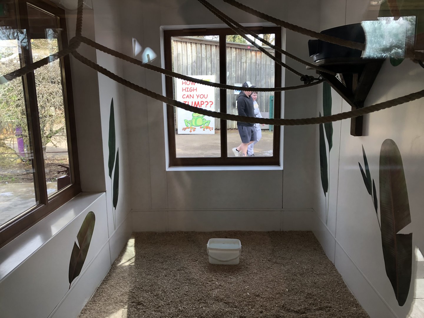 Indoor Lemur Enclosure at Tropical Butterfly House (March 2023)