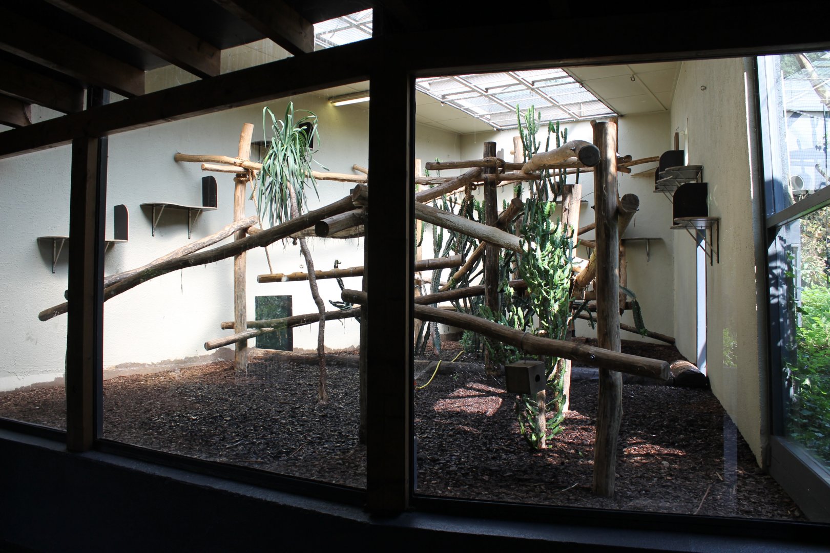 Indoor Lemur-enclosure