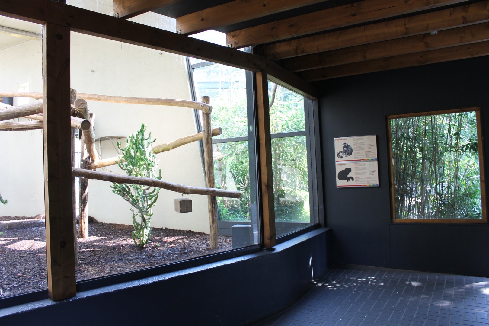 Indoor Lemur-enclosure