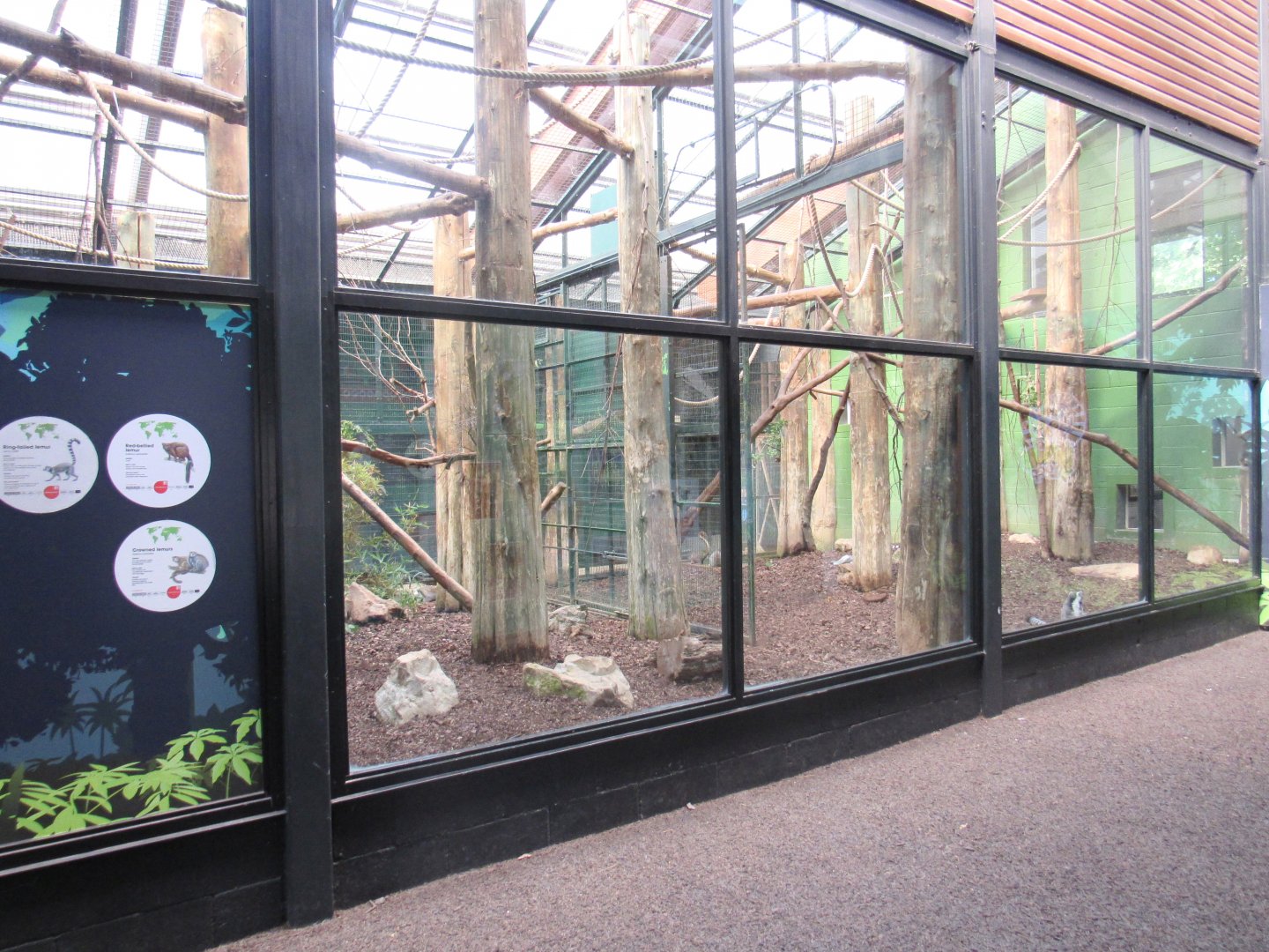 Indoor Lemur Exhibit