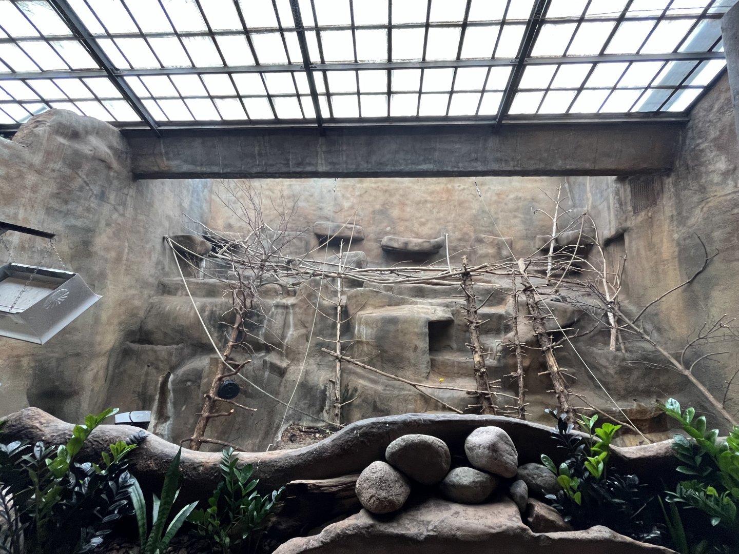 Indoor Lemur Habitat