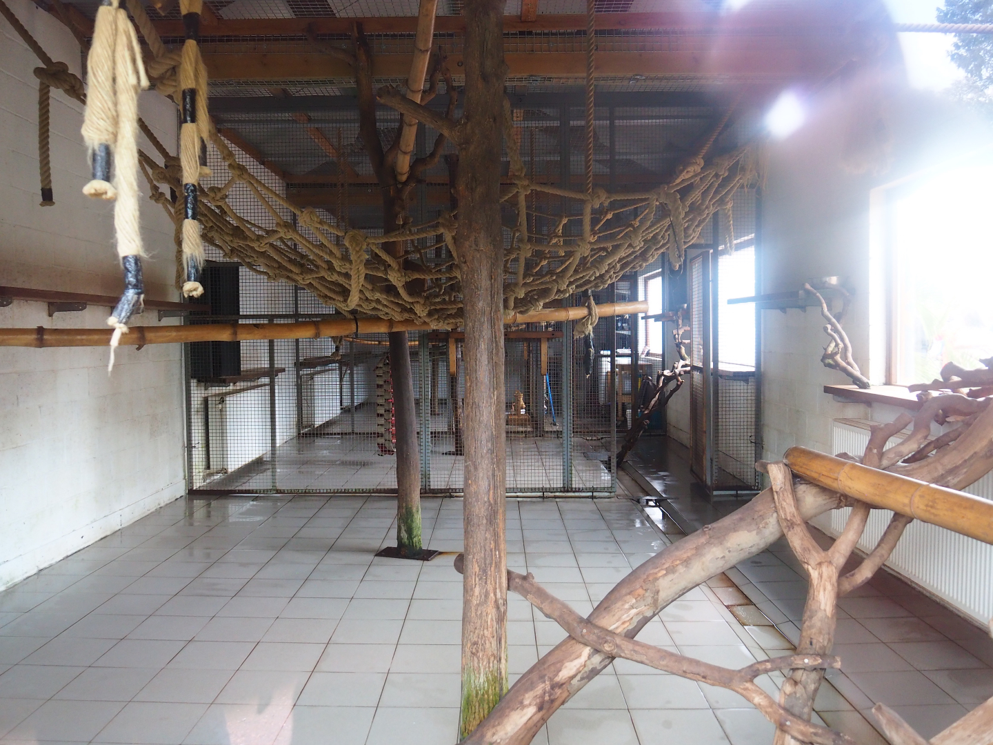 Indoor lemur housing, 2019-10-04