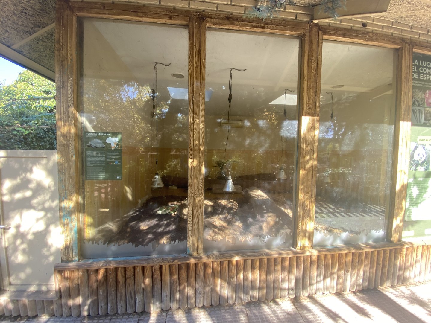 Indoor leopard tortoise enclosure