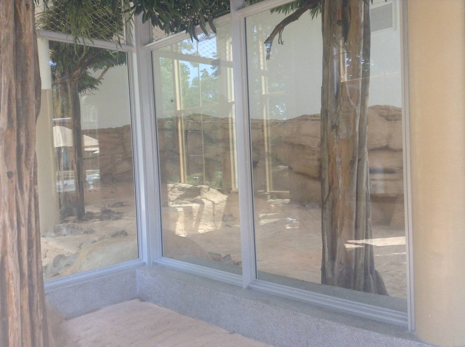 Indoor Lion Enclosure.