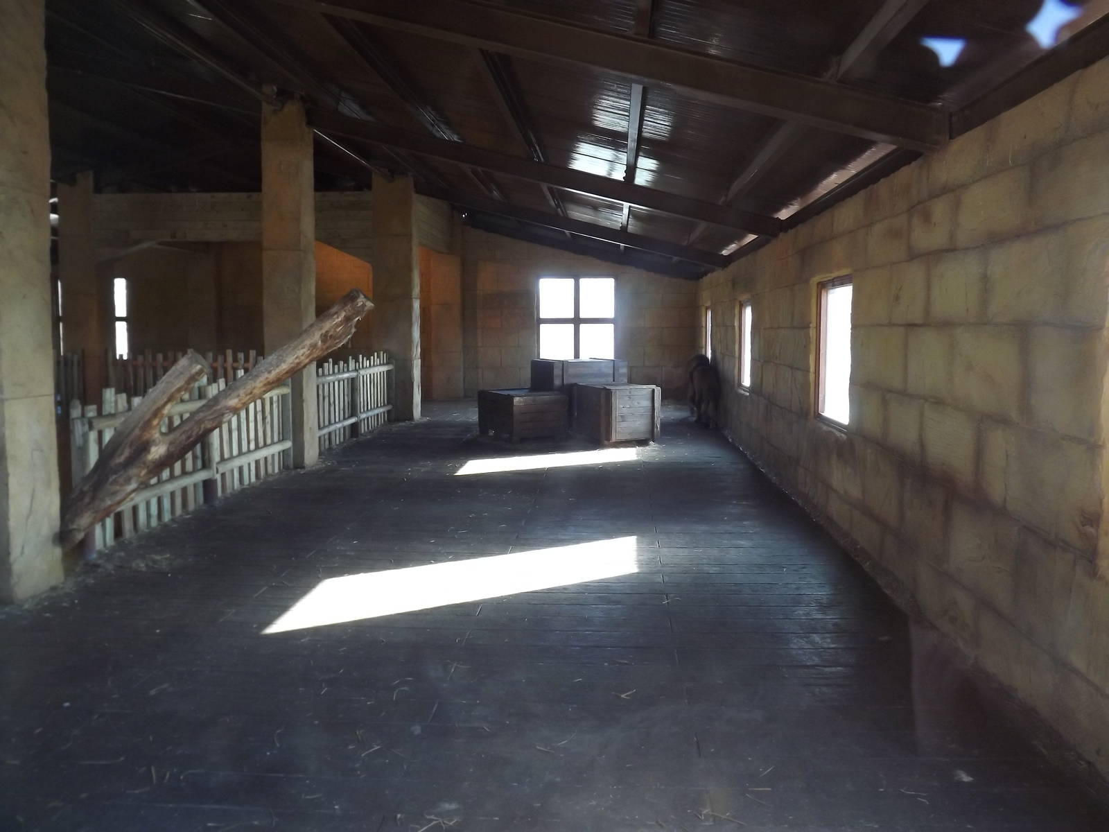 Indoor Lion Exhibit at Flamingoland 19/02/12