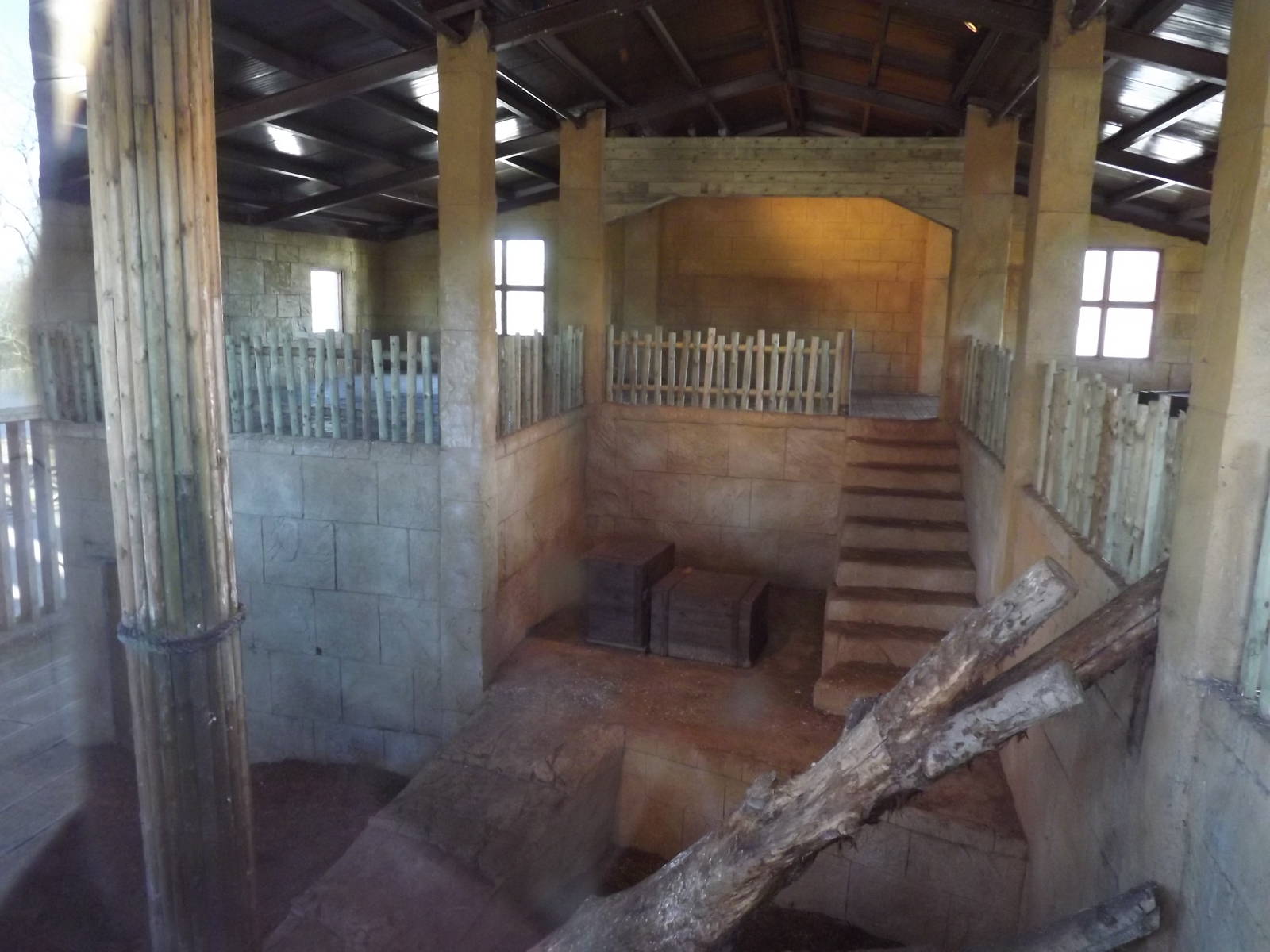 Indoor Lion exhibit at Flamingoland 19/02/12