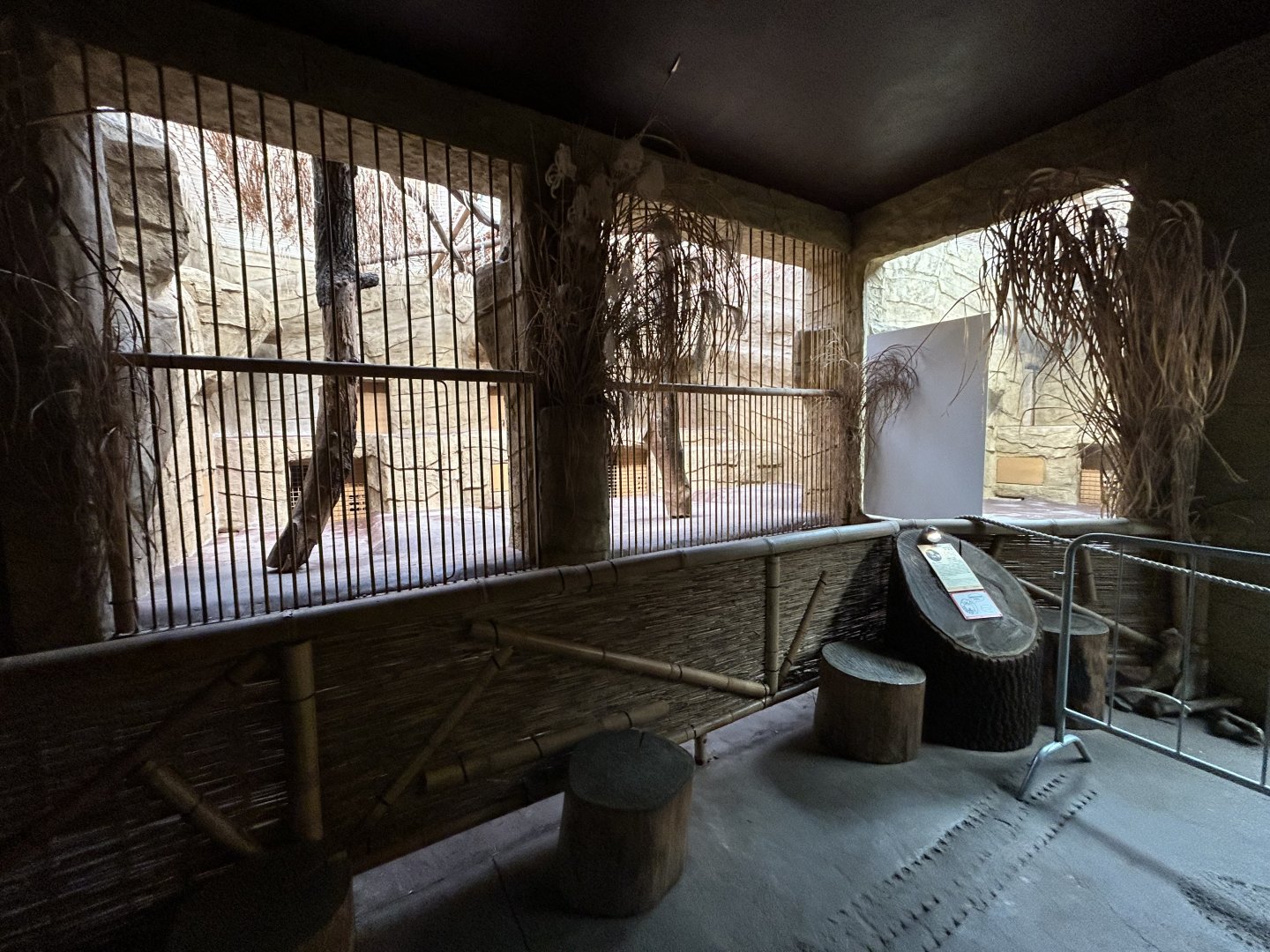 Indoor Lion Exhibits - Indian Carnivores House