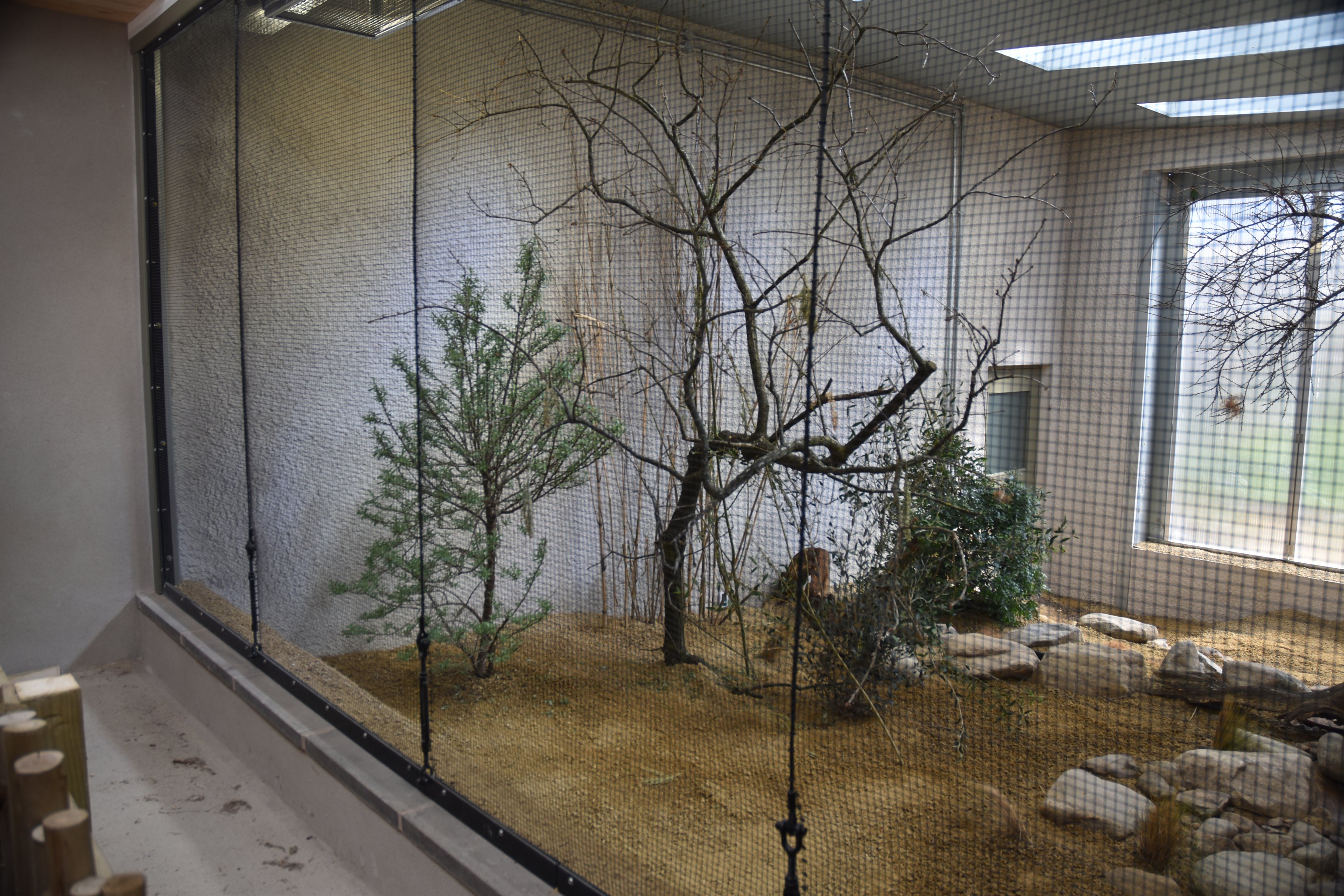 Indoor Lovebird Aviary, Heart of Africa at Chester, 12th April 2025