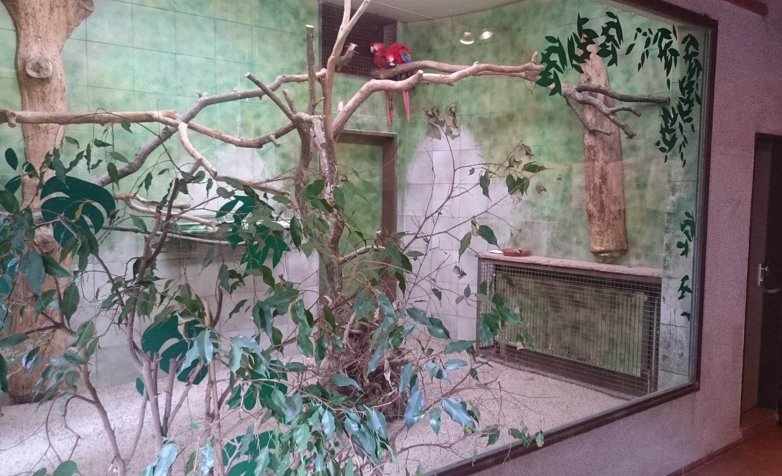 Indoor Macaw-enclosure