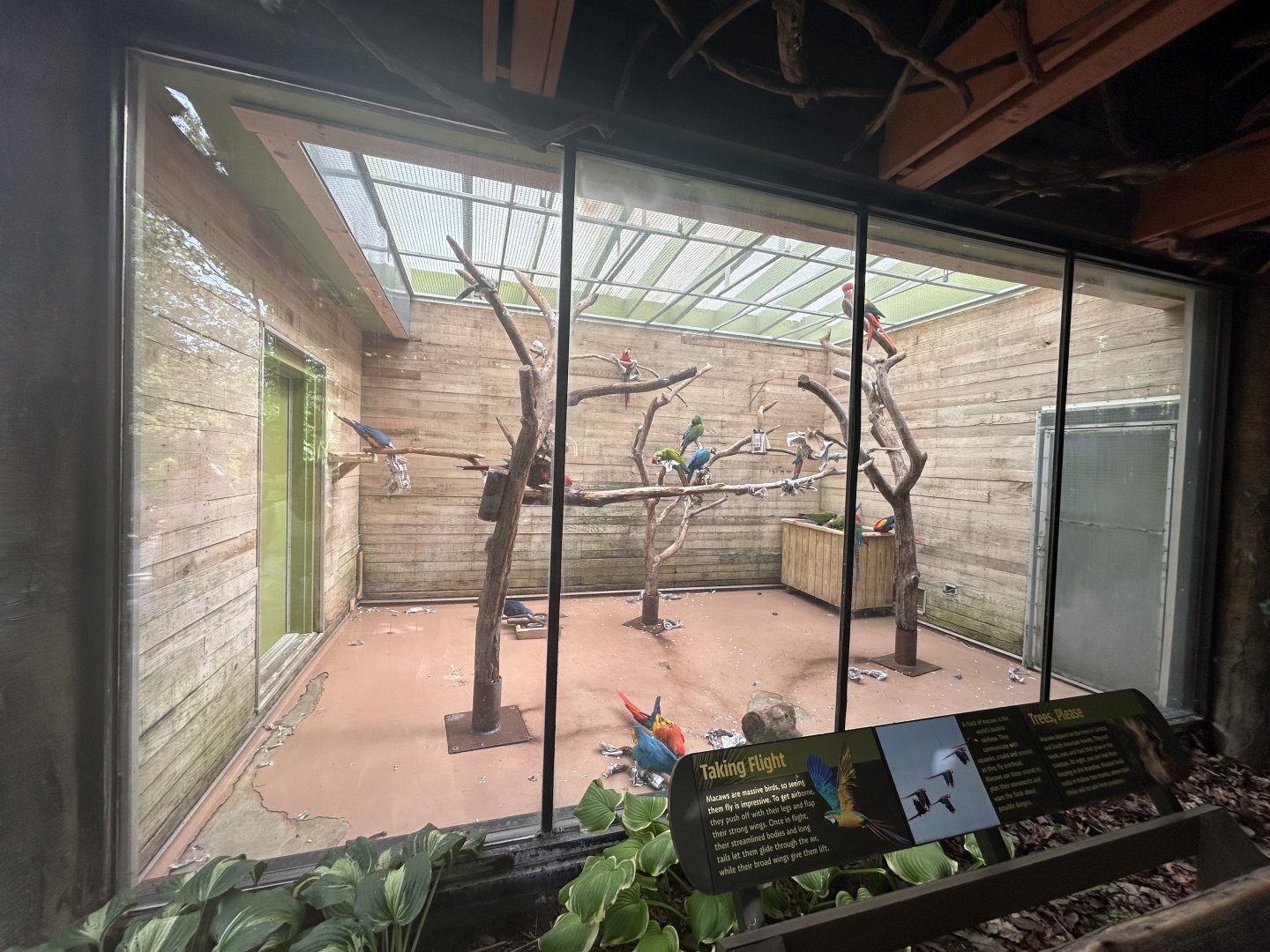 Indoor Macaw Exhibit (6 Species) - Forests