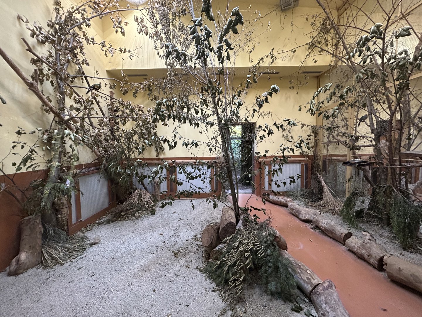 Indoor Madagascar Birds Aviary