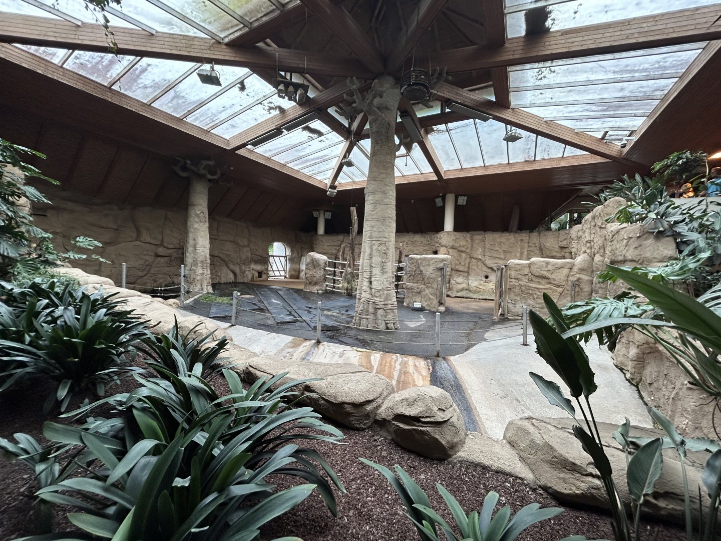 Indoor Malayan Tapir Exhibit