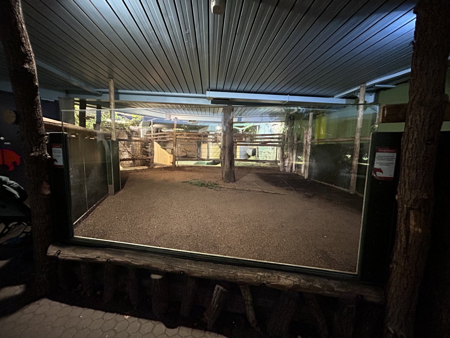 Indoor Malayan Tapir Exhibit